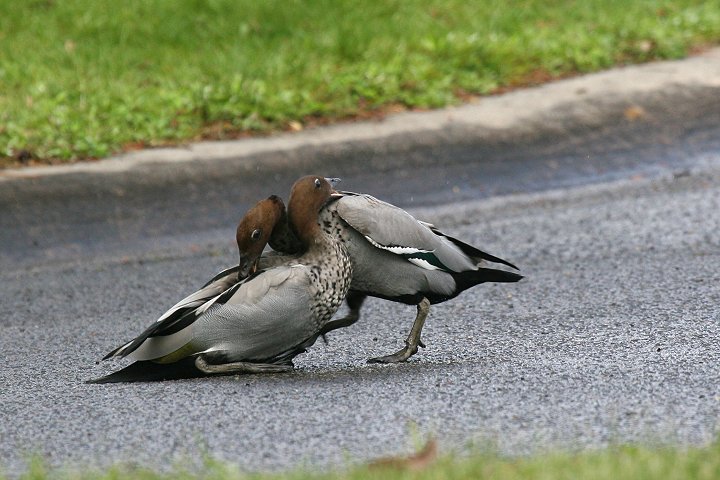 �^�e�K�~�K��