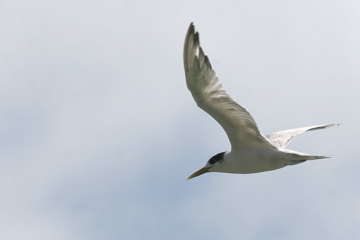 �I�I�A�W�T�V