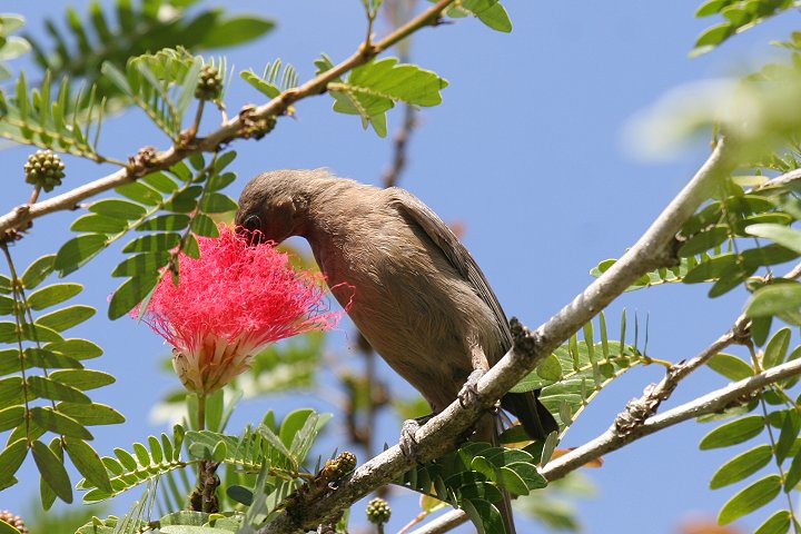 �R�Q�`���~�c�X�C