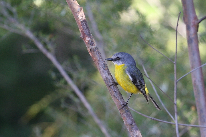 �q�K�V�L�o���q�^�L