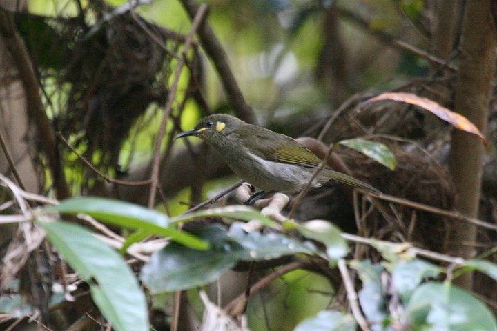 �n�V�{�\�L�~�~�~�c�X�C