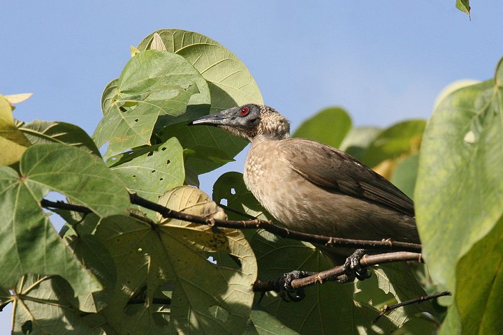 �g�T�J�n�Q�~�c�X�C