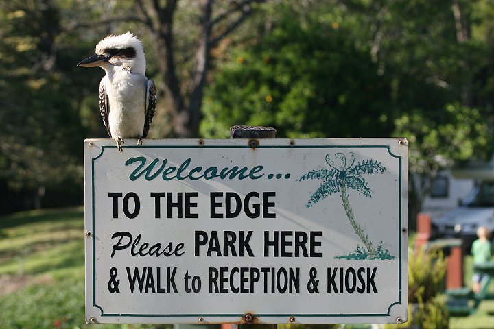 �����C�J���Z�~