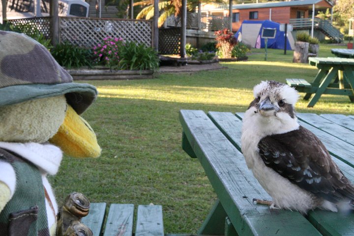 �����C�J���Z�~