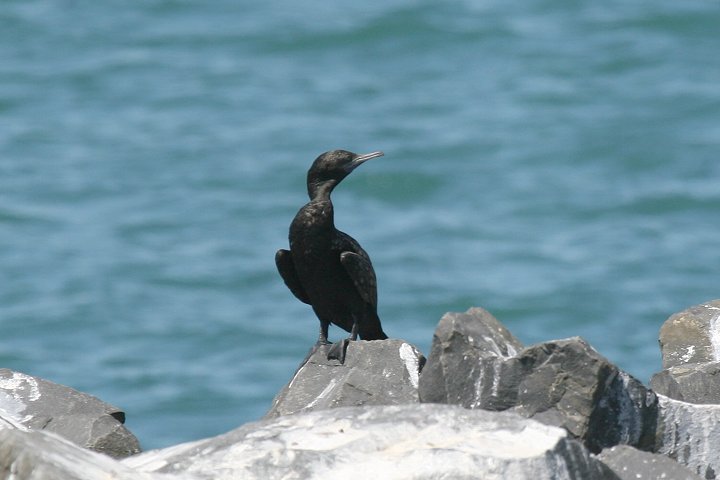 �~�i�~�N���q���E