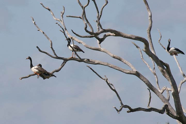 �J�T�T�M�K��