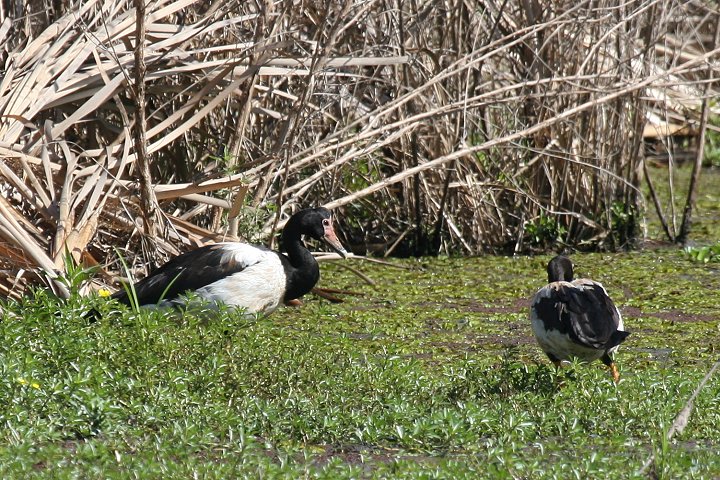 �J�T�T�M�K��