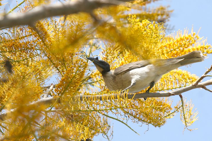 �Y�O���n�Q�~�c�X�C