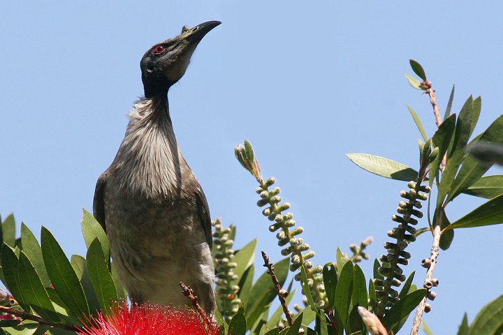 �Y�O���n�Q�~�c�X�C