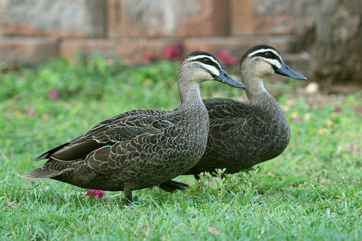 �}�~�W���J���K��