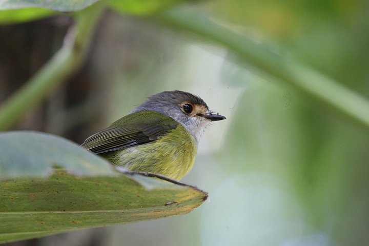 �L�A�V�q�^�L