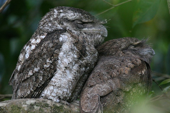 �p�v�A�K�}�O�`���^�J