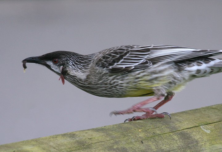 �A�J�~�~�_���~�c�X�C