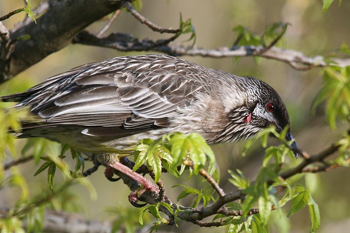 �A�J�~�~�_���~�c�X�C