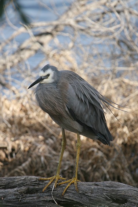 �J�I�W���T�M