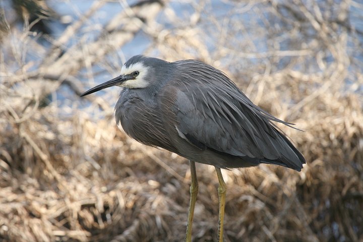 �J�I�W���T�M