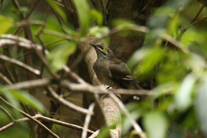 �L�z�I�R�o�V�~�c�X�C