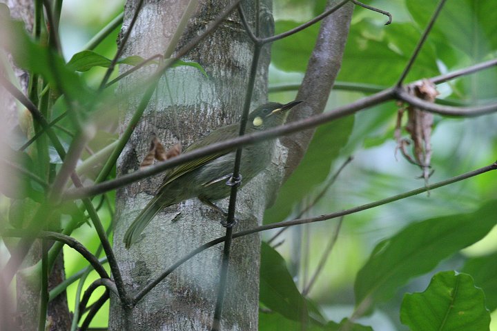 �R�L�~�~�~�c�X�C