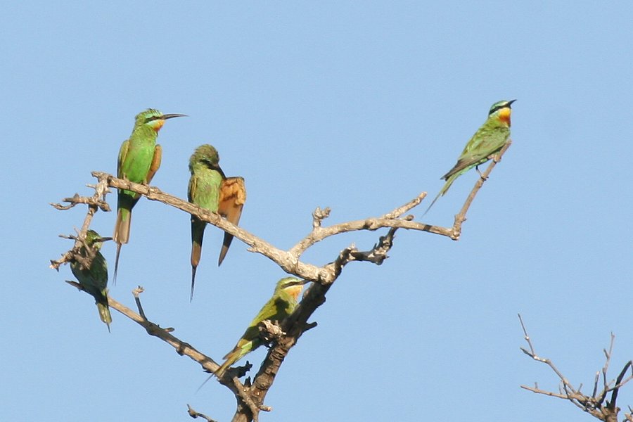 �����z�I�n�`�N�C