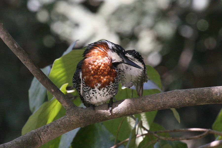 �I�j���}�Z�~