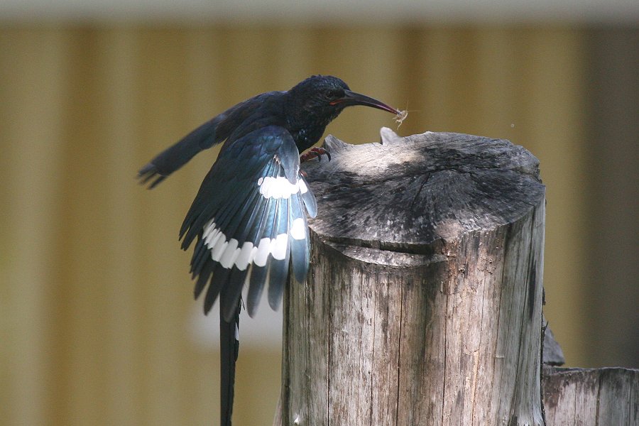 �~�h���������c�K�V��