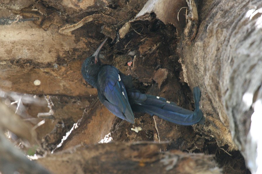 �~�h���������c�K�V��