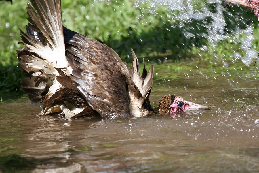 �Y�L���n�Q���V