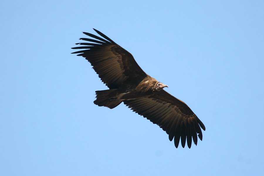 �Y�L���n�Q���V