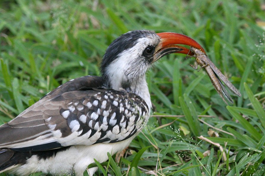 �A�J�n�V�R�T�C�`���E