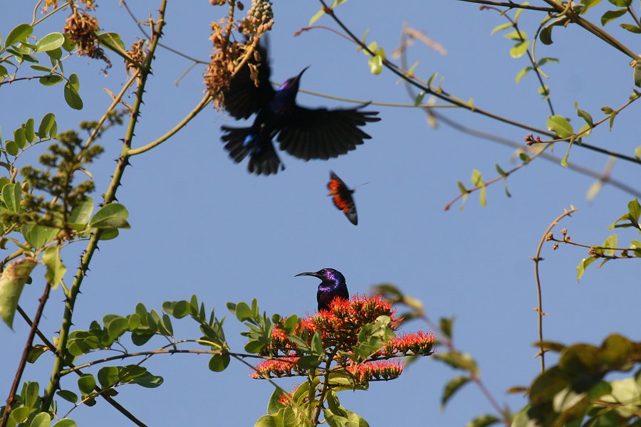 �j�V�L�^�C���E�`���E