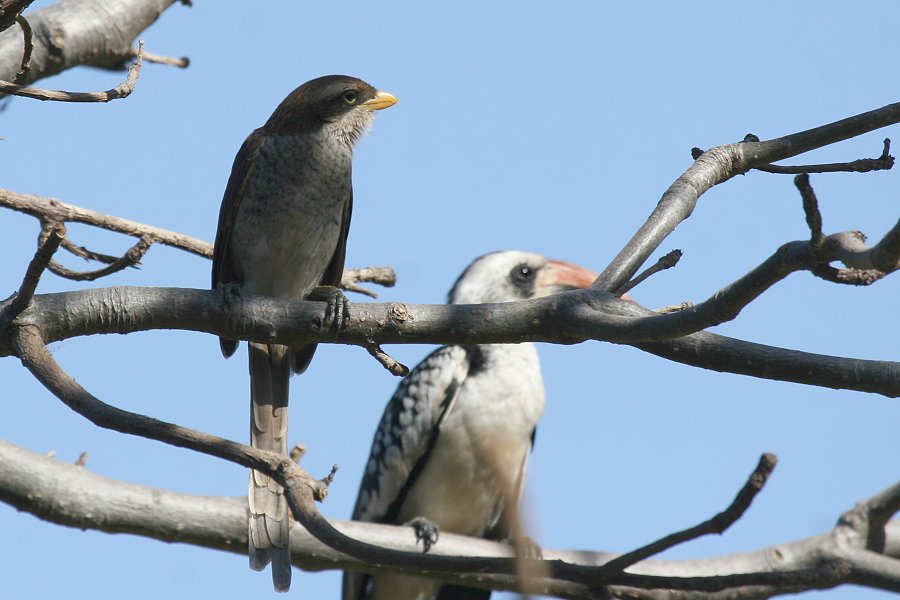 �L�o�V�I�i�K���Y