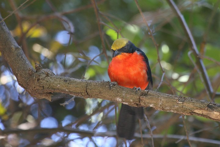 �A�J�n�����u���Y