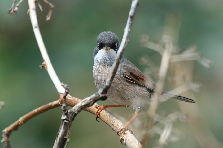 �~�i�~�m�h�W�����V�N�C