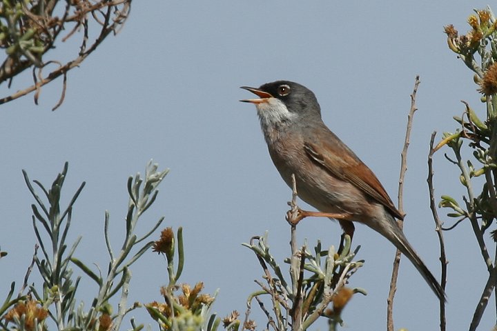 �~�i�~�m�h�W�����V�N�C