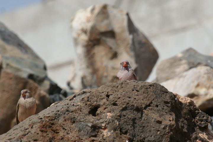 �i�L�}�V�R