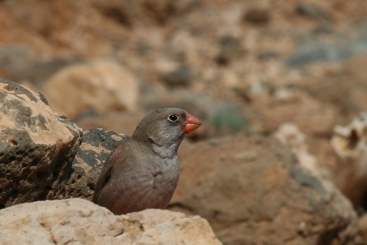 �i�L�}�V�R