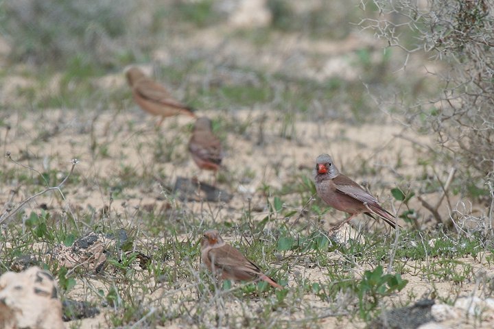 �i�L�}�V�R