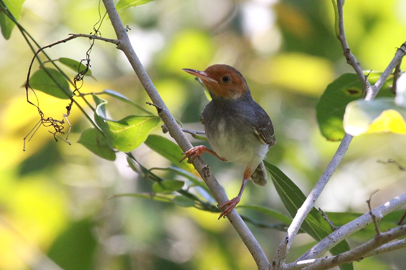 �A�J�K�I�T�C�z�E�`���E