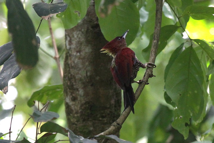 �V�}�x�j�A�I�Q��