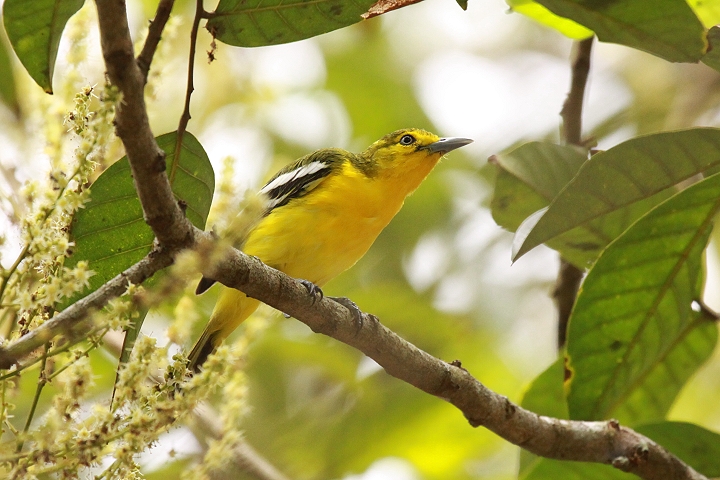 �q���R�m�n�h��