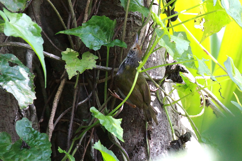 �I�i�K�T�C�z�E�`���E