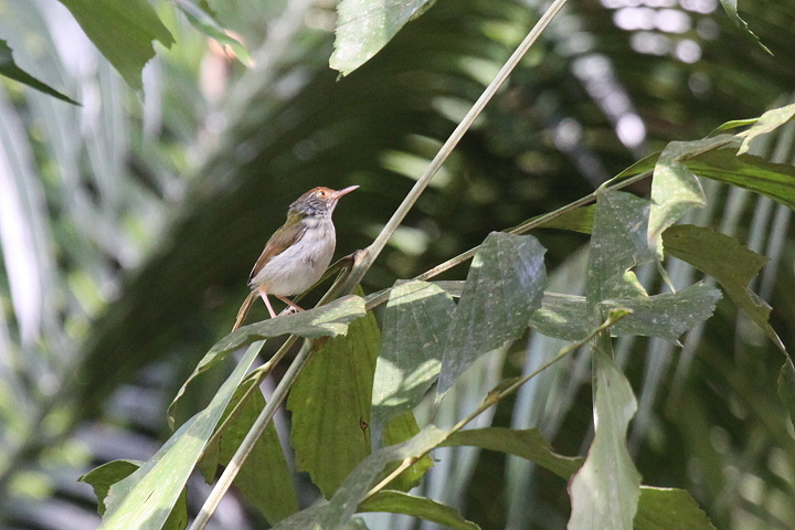 �I�i�K�T�C�z�E�`���E