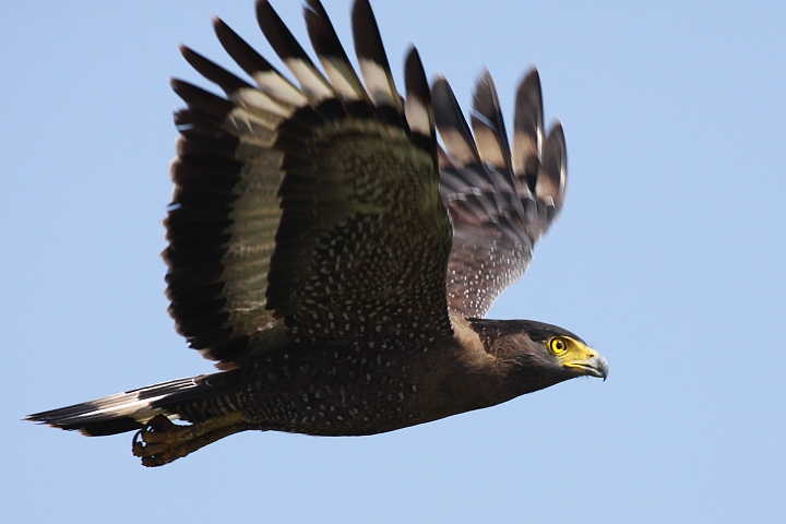 �~�i�~�J���������V