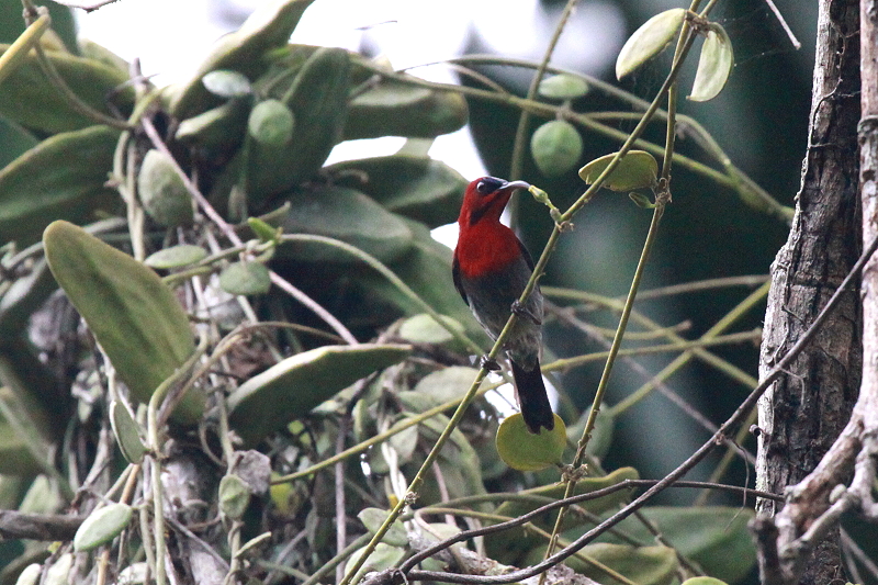 �L�S�V�^�C���E�`���E