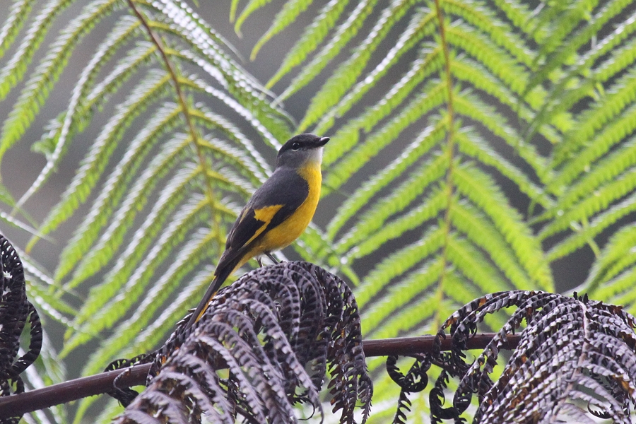 �x�j�T���V���E�N�C