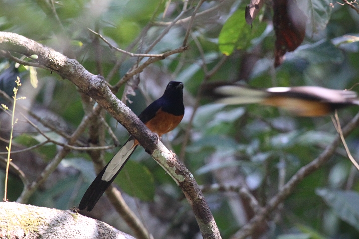 �A�J�n���V�L�`���E