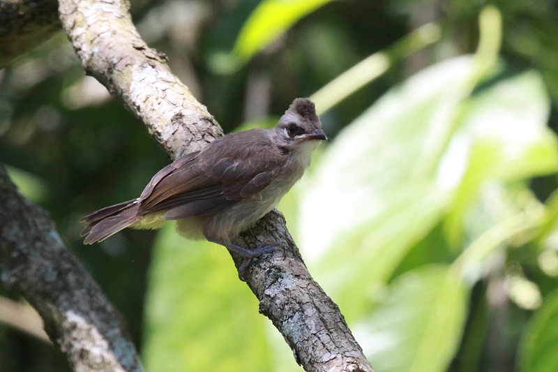 ���O���q���h��