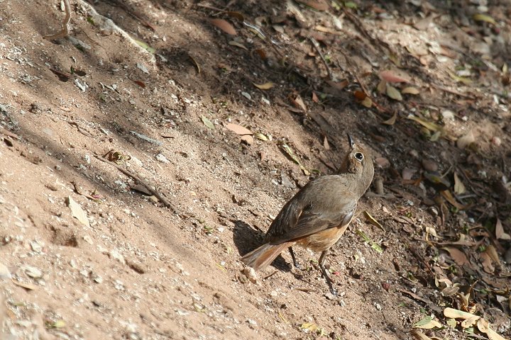 �n�`�}�L�W���E�r�^�L