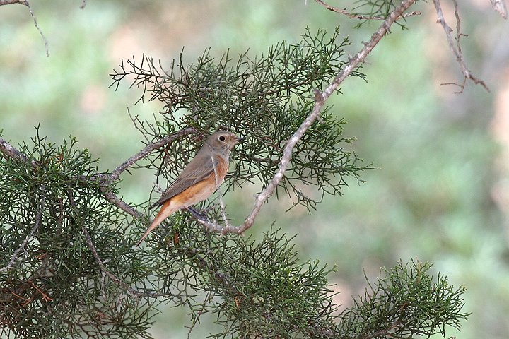 �n�`�}�L�W���E�r�^�L