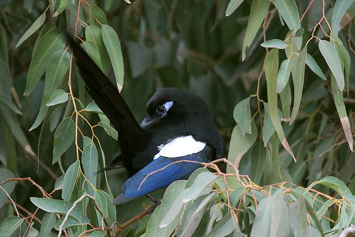 �J�T�T�M�i�k���A�t���J����j